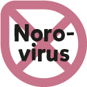 norovirus